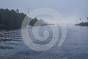 Fog on Atlantic Intracoastal Waterway photo