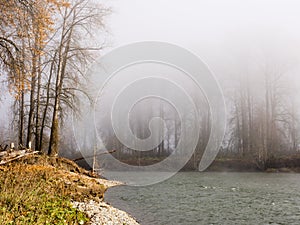 Fog on the banks of Snoqualmie river