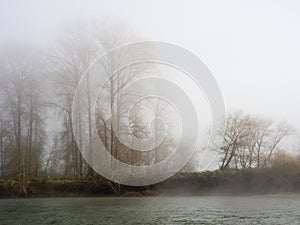 Fog on the banks of Snoqualmie river