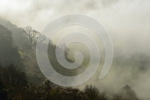 Fog below Coaley Peak