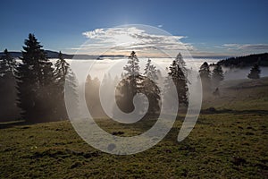 Fog in black forest valley, southwest Germany photo