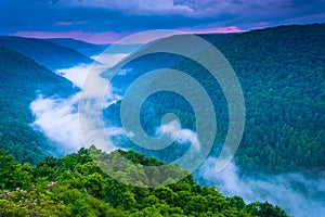 Fog in the Blackwater Canyon at sunset, seen from Lindy Point, B