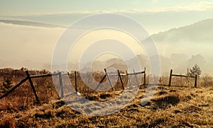 Fog in Carpathians