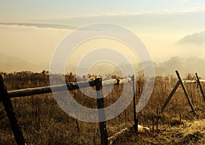 Fog in Carpathians at morning