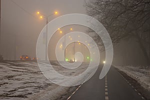 fog in the city park in Kharkiv