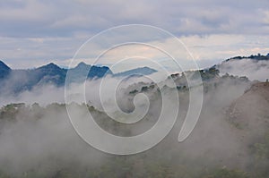 Fog and cloud mountain