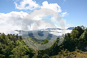 Fog and cloud on mountain at Kew Mae Pan, Thailand.