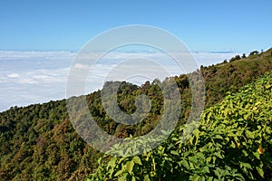 Fog and cloud on mountain at Kew Mae Pan, Thailand.