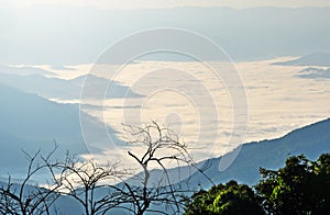 Fog and cloud mountain landscape