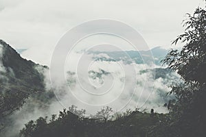 fog & cloud on mountain in morning. mist on hill