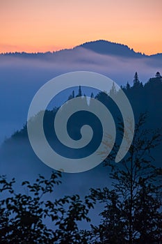 Fog and cloud mountain valley landscape,