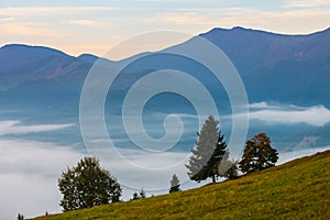 Fog and cloud mountain valley landscape