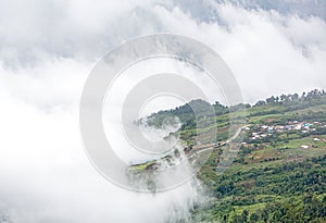 Fog and cloud mountain valley spring landscape.Forested mountain slope in low lying cloud