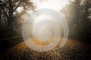 Fog on the cobblestones, Sacro Monte of Varese