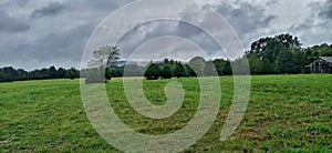 Fog coming off mountain