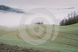 the fog is coming to the valley photo