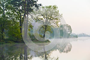 Fog concept. Grees grow along river bank on misty morning. Beautiful landscape