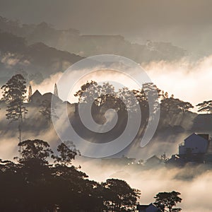 The fog cover Dalat plateau lands, Vietnam, background with magic of the dense fog and sun rays, sunshine at dawn part 4