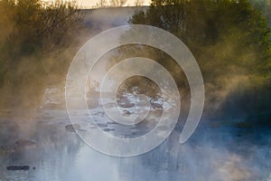 Fog cover willow trees and adorable river with fast flow and stones in its current, quiet and peaceful misty sunrise