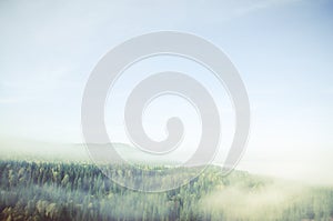 fog covered with thick coniferous forest.