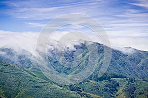 Fog covering Montara mountain McNee Ranch State Park landscape, California