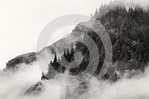 Fog covering the mountain forests with low cloud in Juneau alaska for fog landscape