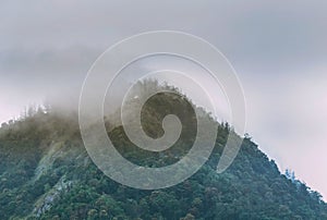 Fog covering the peak of the mountain of Western Ghats, Kanyakumari district, India