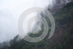 The fog covers the forest of the city of Villetta Barrea (AQ)