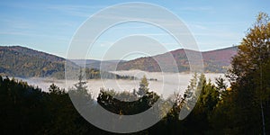 Fog covers pine forests on Carpathian mountains in Ukraine