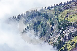 fog crawls up a mountain side with groups of trees and meadows