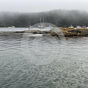 Fog, Cutler Village, Maine