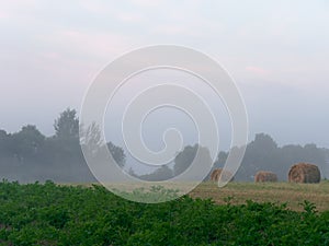 Fog at dawn over a field of farmland