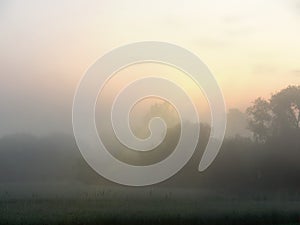 Fog at dawn over a field of farmland