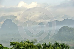 Fog at dawn in the Valley of Vinales