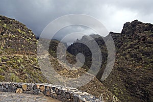 Fog envelops mountains on the island of Tenerife, at an altitude of 2000 thousand, Caribbean island, background