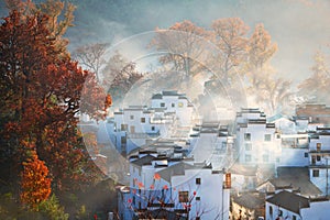 The fog on the fall trees and dwellings