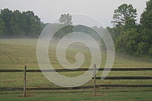 Fog On The Farm photo