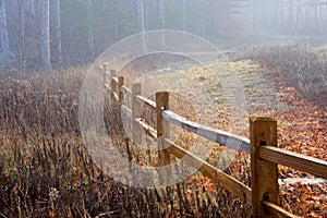 Fog and Fence
