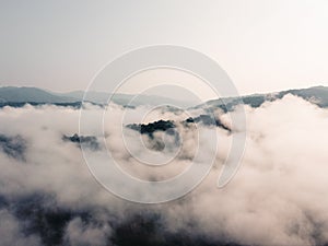 Fog in the forest, trees and mountains, mist in the morning