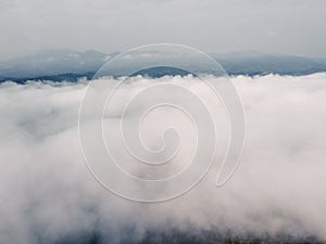 Fog in the forest, trees and mountains, mist in the morning