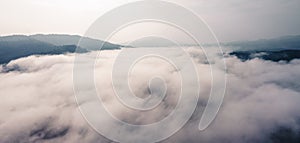 Fog in the forest, trees and mountains, mist in the morning