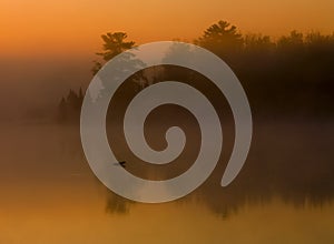 Fog, Forest, and Water at Sunrise