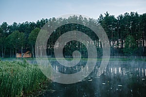 Fog, grass, trees against the backdrop of lakes and nature. Fishing background. Carp fishing. Misty morning. nature. Wild areas.