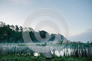 Fog, grass, trees against the backdrop of lakes and nature. Fishing background. Carp fishing. Misty morning. nature. Wild areas.