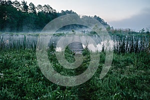Fog, grass, trees against the backdrop of lakes and nature. Fishing background. Carp fishing. Misty morning. nature. Wild areas.