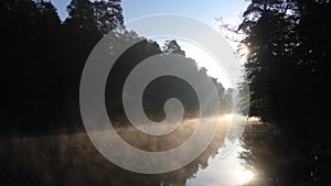 Fog, grass, trees against the backdrop of river and nature. Fishing background. Misty morning in wilderness