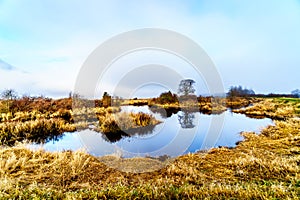 Fog hanging over the Pitt River and Pitt-Addington Marsh in Pitt Polder near Maple Ridge in British Columbia, Canada