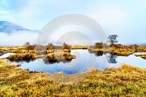 Fog hanging over the Pitt River and Pitt-Addington Marsh in Pitt Polder near Maple Ridge in British Columbia, Canada