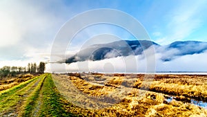 Fog hanging over the Pitt River and Pitt-Addington Marsh in Pitt Polder near Maple Ridge in British Columbia, Canada