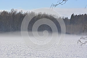 Fog hovers over the field